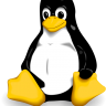 How to find out who is logged in on your linux system ?