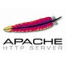 How will you use the Apache server for exporting the SSL certificate?