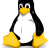 How will you use the remote command line for monitoring the Linux server?